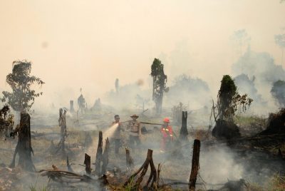 Police and a fire fighter from a local forestry company try to extinguish a forest fire in the village in Rokan Hulu regency, Riau province, Sumatra, Indonesia August 28, 2016 in this photo taken by Antara Foto. Picture taken 28 August 2016. (Photo: REUTERS/Antara Foto/Rony Muharrman).