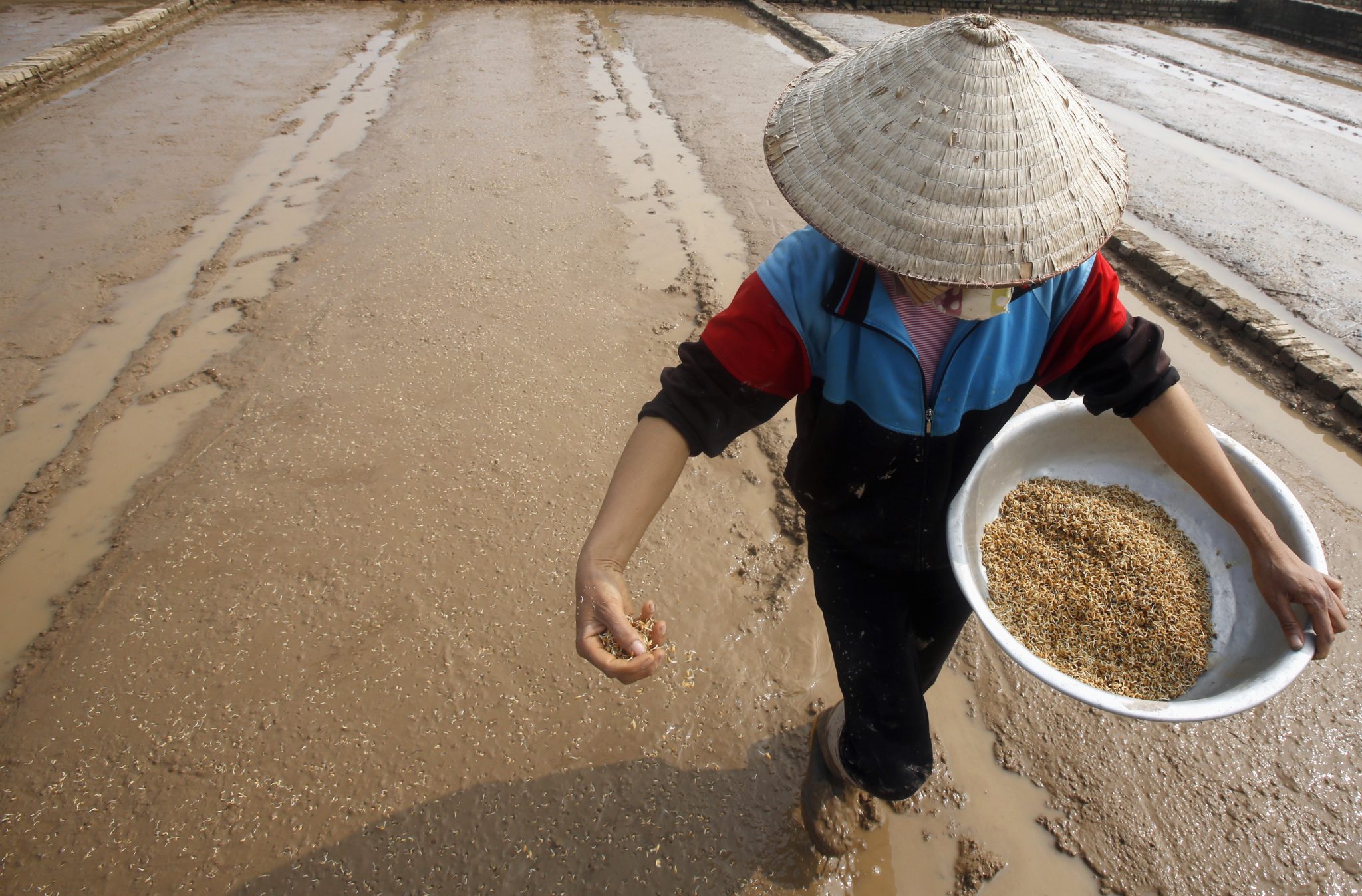 Raising agricultural productivity in Vietnam isn't rocket science | East Asia Forum