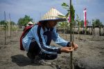 A student is seen planting mangrove seedlings during a campaign to plant 1000 mangroves on the beach of Semadu Island, Rancong Village in Lhokseumawe on 27 January 2022, Aceh Province, Indonesia.