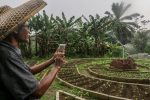 An Indonesian farmer using his mobile phone to spray a plant in a field in Bogor, West Java, Indonesia, 18 February 2022 (Photo: Reuters/Andi M Ridwan/INA Photo Agency/Sipa USA).